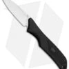 Buck Knives Buck ErgoHunter Small Game Fixed Blade Knife (2.5" Satin)