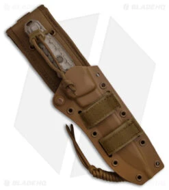 Buck Knives Buck GCK Fixed Blade Knife Tanto Tan (5.5" Tan) 0893BRS1 6 Buck Knives Buck GCK Fixed Blade Knife Tanto Tan (5.5" Tan) 0893BRS1 -Buck Knives Buck GCK Fixed Blade Knife Tant0 Tan 5in 5cm Tan BHQ 106711 td sheath