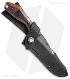 Buck Knives Buck Verge Limited Edition Fixed Blade Knife CF/Ironwood (3.75" Satin) 019IWSLE -Buck Knives Buck Verge Limited Ed CF Ironwood 019IWSLE BHQ 41111 jr sheath