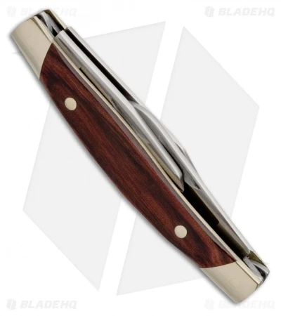 Buck Knives Buck Cadet Knife 3.25" Rosewood Dymondwood 0303RWS 2 Buck Knives Buck Cadet Knife 3.25" Rosewood Dymondwood 0303RWS - Image 2