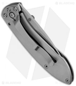 Buck Knives Buck Nobleman Frame Lock Knife Stainless Steel (2.625" Satin) 0327SSS -Buck Knives buck nobleman 327sss b side