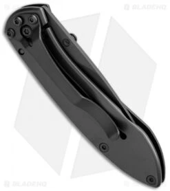 Buck Knives Buck Nobleman Frame Lock Knife Stainless Steel (2.625" Gray) 0327TTS -Buck Knives buck nobleman 327tts b side