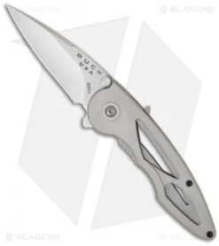 Buck Knives Buck Rush Knife Assisted Opening Platinum (2.5" Satin) 0290PLS-B